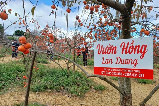 Phát triển du lịch xanh, thông minh - động lực mới cho tăng trưởng bền vững của đất nước