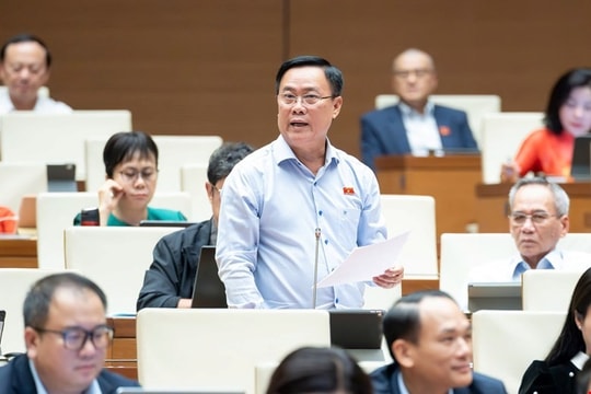 Phòng, chống thiên tai phải là một trụ cột phát triển chiến lược