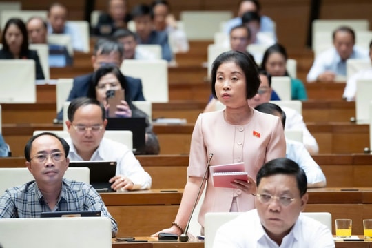 Cần biện pháp hữu hiệu để chống gian lận, trốn thuế