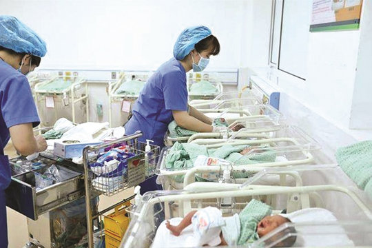 Tìm giải pháp tăng tỷ lệ khuyến sinh ở Việt Nam