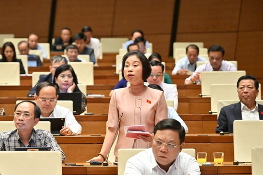 Dự án không còn hiệu quả, không phù hợp với quy hoạch và điều kiện địa phương thì mạnh dạn cho dừng
