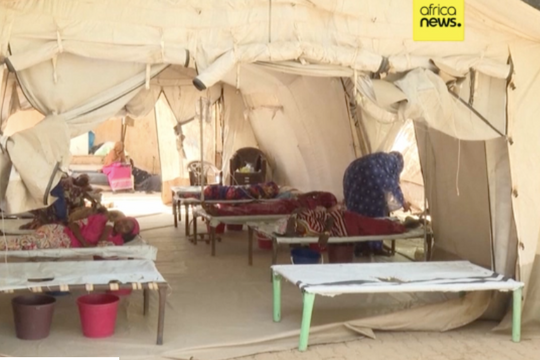 Hơn 6.800 người tử vong do dịch tả bùng phát tại 23 quốc gia châu Phi