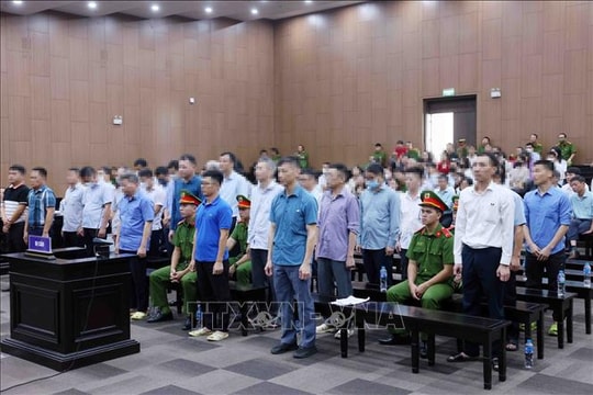 Vụ Tập đoàn Thuận An: 17 bị cáo kháng cáo xin giảm nhẹ hình phạt