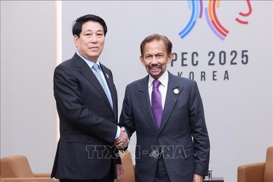Tuần lễ Cấp cao APEC 2025: Phát triển hơn nữa quan hệ thực chất Việt Nam - Brunei