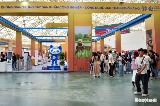 Nắm bắt “cơ hội vàng”