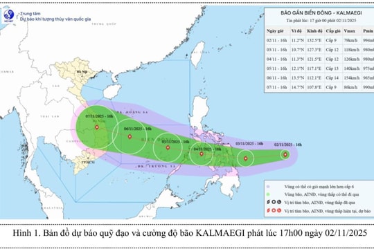 Đà Nẵng lên kế hoạch ứng phó bão Kalmaegi