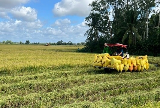 Thúc đẩy ứng dụng giải pháp sinh học để giảm phát thải khí mê-tan
