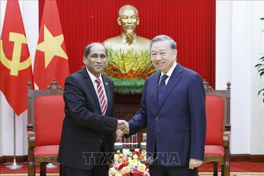 Tổng Bí thư Tô Lâm tiếp Đại sứ Singapore tại Việt Nam
