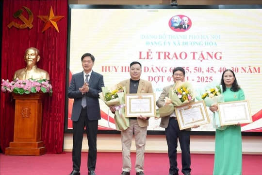 Đảng uỷ xã Dương Hoà tổ chức Lễ trao tặng, truy tặng Huy hiệu Đảng đợt 7-11