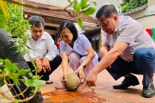 [Podcast] Tin tức ngày 3-11: Hà Nội ghi nhận gần 500 ca sốt xuất huyết trong một tuần, nhiều ổ dịch nguy cơ cao