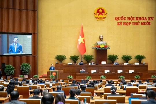 Người livestream bán hàng không được cung cấp thông tin gây nhầm lẫn