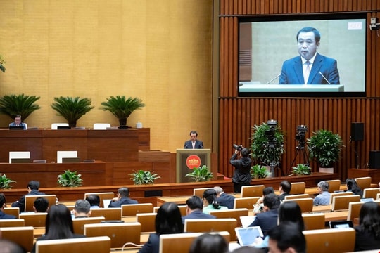 Sửa Luật Địa chất và khoáng sản để gỡ vướng cấp phép, thúc đẩy dự án trọng điểm