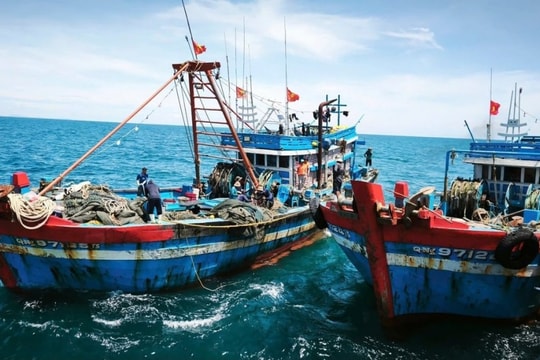 Tây Ninh: Cao điểm chống khai thác hải sản bất hợp pháp
