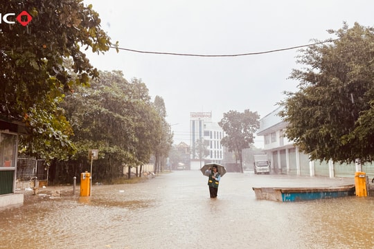 BIC đồng hành cùng khách hàng khắc phục hậu quả mưa lũ miền Trung