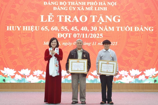 21 đảng viên xã Mê Linh được trao Huy hiệu Đảng đợt 7-11