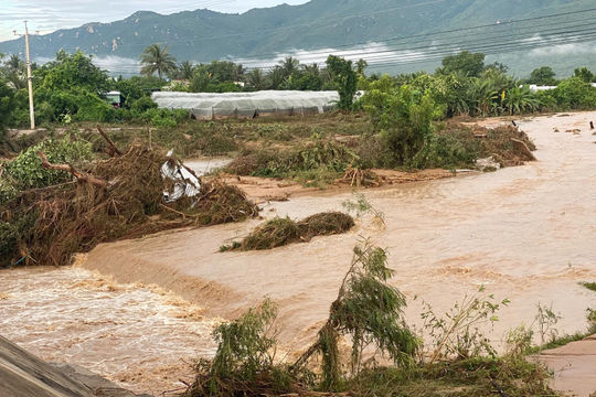 Lâm Đồng: yêu cầu doanh nghiệp dừng ngay việc trữ nước tại hồ chứa bị vỡ trên núi