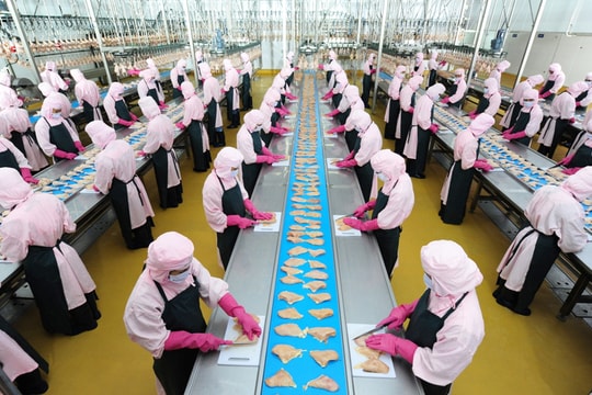 Hà Nội siết chặt quản lý giết mổ, hướng tới thực phẩm an toàn