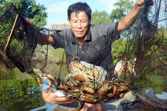 Hương rừng vị biển hòa quyện trong Ngày hội Cua Cà Mau 2025