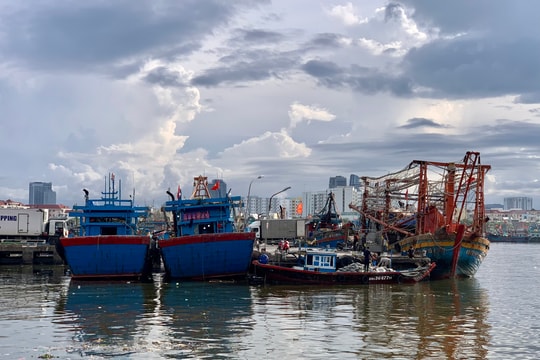 Việt Nam sẵn sàng cùng cộng đồng quốc tế tăng cường phòng, chống khai thác hải sản bất hợp pháp