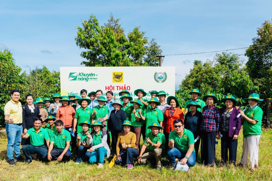 Canh tác cà phê thông minh - Giải pháp "vàng" cho nông dân Tây Nguyên