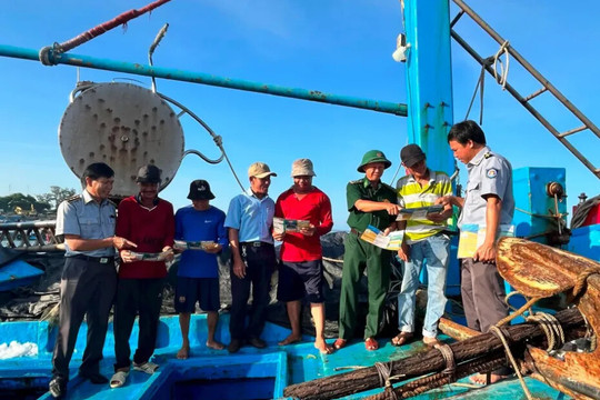 Việt Nam nỗ lực chống khai thác IUU, phát triển nghề cá bền vững