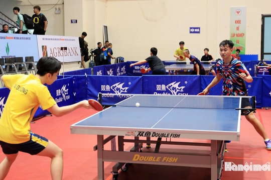 Giải Bóng bàn Báo Hànộimới 2025: Sân chơi uy tín quy tụ gần 400 tay vợt toàn quốc