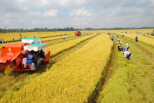 Các trường hợp được miễn thuế sử dụng đất nông nghiệp đến hết ngày 31-12-2030