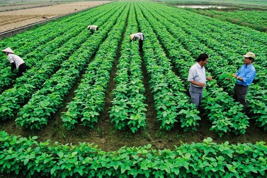 Sửa một số quy định về tiền sử dụng đất