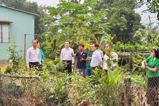 Thành phố Hồ Chí Minh: ​​​​​​​Châu Pha hướng tới đô thị hiện đại, thông minh vào năm 2030
