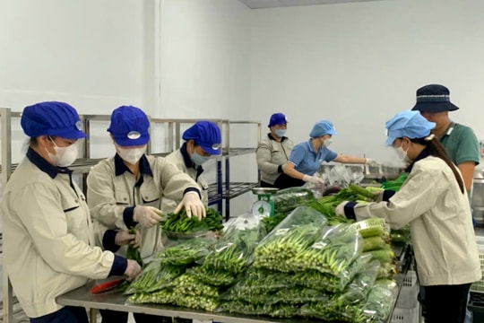 Tin tức đặc biệt trên báo in Hànộimới ngày 7-11-2025