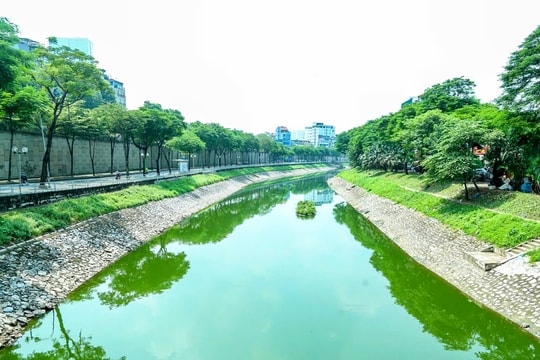 Bảo vệ môi trường - xu hướng không thể đảo ngược