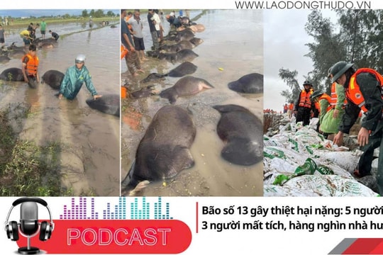 Điểm những tin nổi bật tối ngày 7/11/2025: Bão số 13 gây thiệt hại nặng: 5 người chết, 3 người mất tích, hàng nghìn nhà hư hỏng