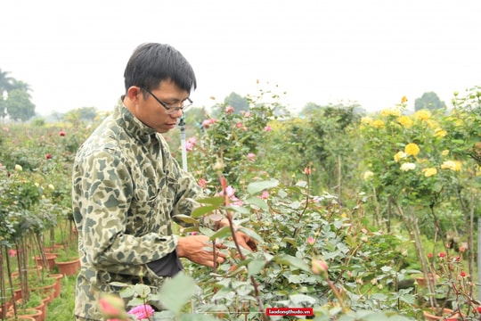 Dùng "Sàn giao dịch số" để minh bạch hóa giá cả thị trường theo thời gian thực