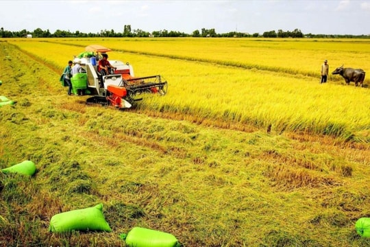 Kéo dài thời hạn miễn thuế sử dụng đất nông nghiệp đến năm 2030