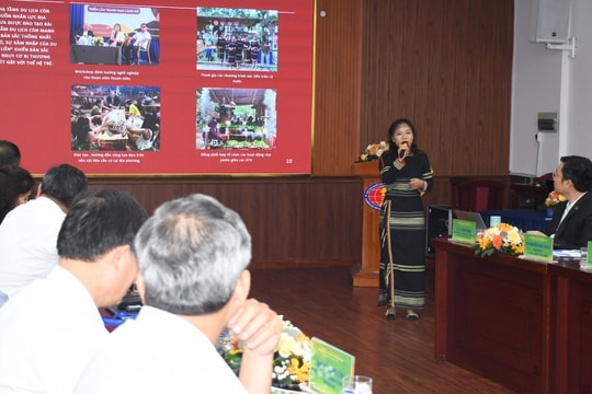Chiến lược phát triển du lịch nông thôn bền vững