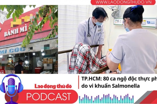 Điểm những tin nổi bật tối ngày 8/11/2025: TP.HCM: 80 ca ngộ độc thực phẩm do vi khuẩn Salmonella