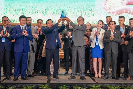 Gạo Ông Cua ST25 lần thứ ba đoạt giải “Gạo ngon nhất thế giới”