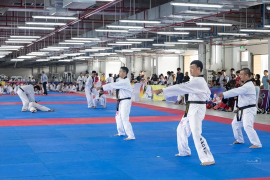 Taekwondo Hà Nội: Chuẩn hóa phong trào, nuôi dưỡng khát vọng vươn tầm quốc tế