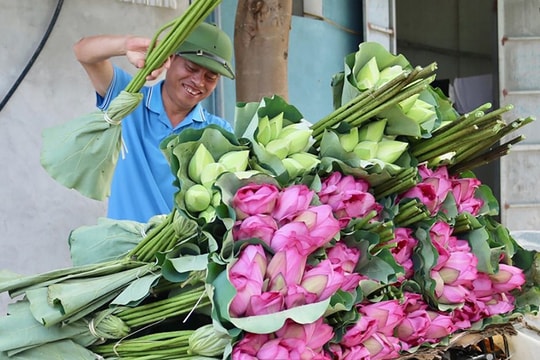 Sản xuất nông nghiệp thích ứng với biến đổi khí hậu: Hướng đi xanh cho tương lai