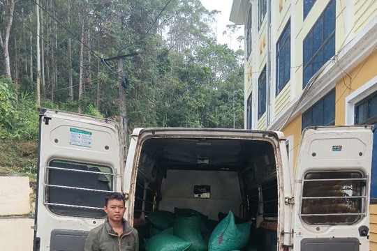 Bộ đội Biên phòng Cao Bằng Phát hiện, thu giữ gần 1 tấn cau khô vận chuyển trái phép