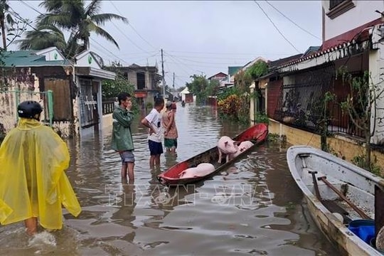 Bão Fung-wong gây thiệt hại nặng nề cho kinh tế Philippines