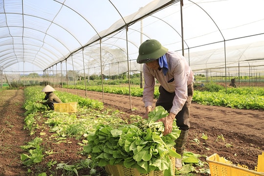 Chuyển đổi số nâng tầm hợp tác xã Hà Nội