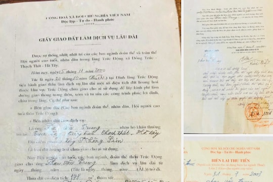 Xã Hạ Bằng bồi thường đất dịch vụ như đất trồng cây lâu năm?