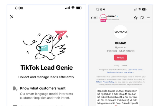 TikTok ra mắt Chatbot AI trong tin nhắn trực tiếp