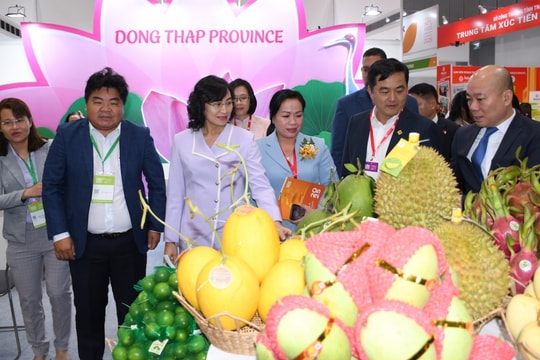 Nhiều thương hiệu lớn tham gia Vietnam Foodexpo 2025