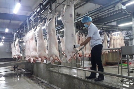 Hà Nội: Xử lý dứt điểm cơ sở giết mổ nhỏ lẻ, mất vệ sinh