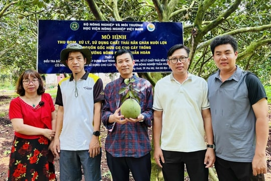 Thúc đẩy hợp tác khu vực về giảm phát thải khí mê-tan