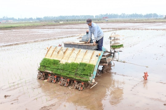 Hà Nội khuyến khích nhân rộng cơ giới hóa trong sản xuất nông nghiệp