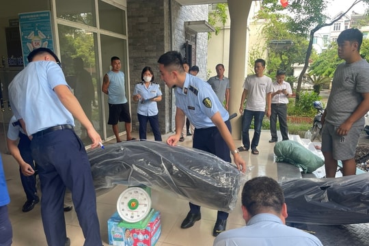 Hà Nội: Xây dựng dự thảo Quy chế phối hợp giữa Ban Chỉ đạo 389 các tỉnh, thành phố