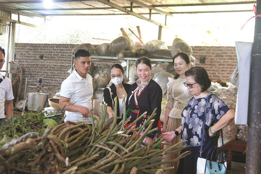 Phát triển và bảo tồn bản sắc ở vùng đồng bào dân tộc thiểu số